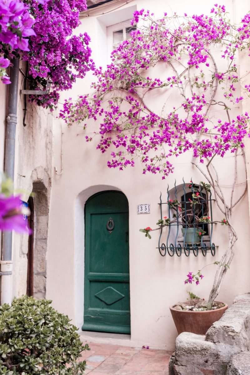 Amazing Provence Rustic French Country Doors! - Hello Lovely