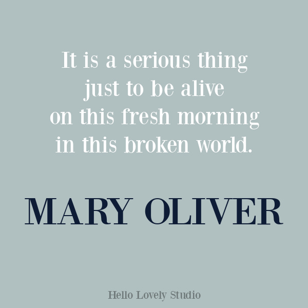 Mary Oliver quote and poetry on Hello Lovely Studio. #maryoliver #encouragementquote #inspirationalquote