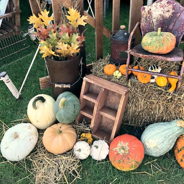 Colorful pumpkins and rustic farmhouse charm welcome autumn! CLICK OVER to say HELLO LOVELY to Pretty Pumpkin Decor and Recipes [in case you're ready to FALL in Love With Autumn].