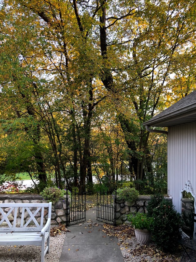 Changing leaves on trees in autumn in Northern Illinois - Hello Lovely Studio.