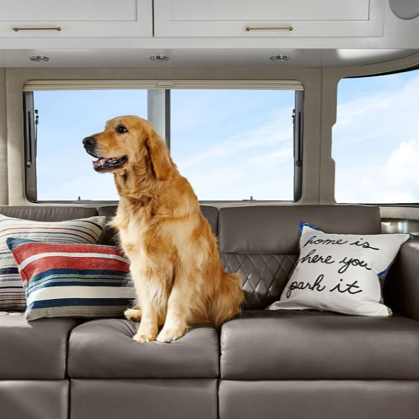 Golden Retriever in Airstream at Pottery Barn