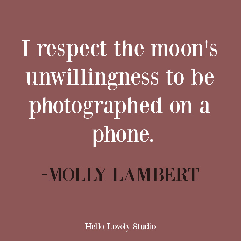 Funny quote about moon on Hello Lovely Studio. #funnyquote #moonquotes #cleverquote #naturequotes