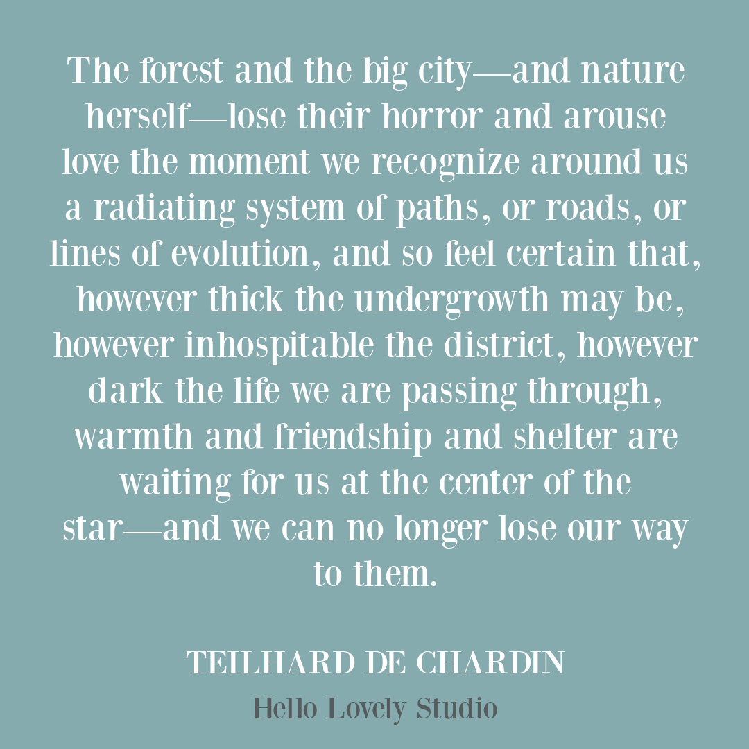 Teilhard de Chardin inspirational quote on Hello Lovely Studio. #teilhard #spirituality #quotes #evolutionarychristianity