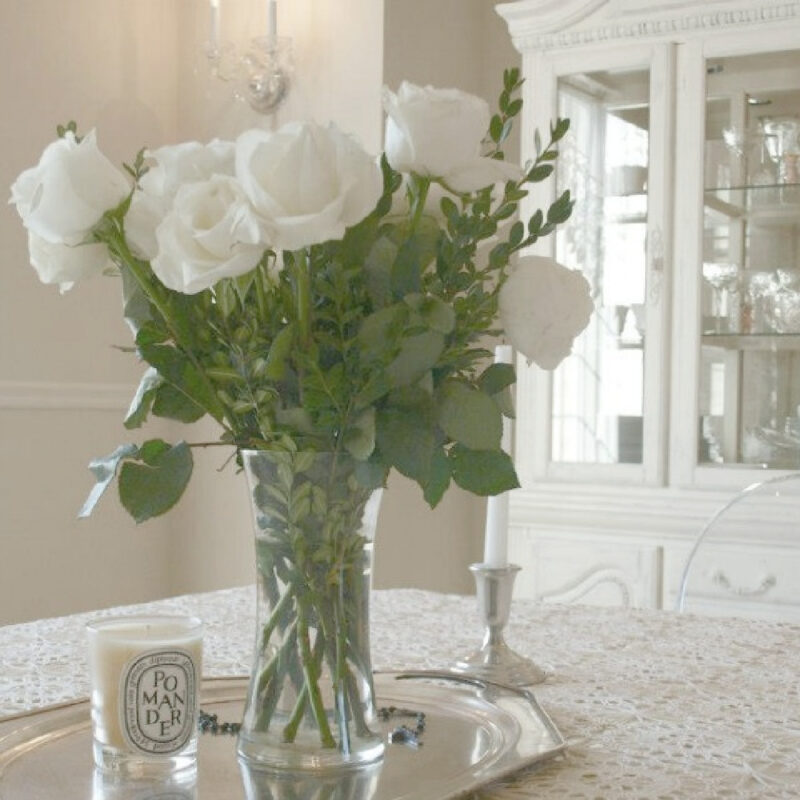 Snowy White Roses: How to See Encouragement Blooming in Winter - Hello ...