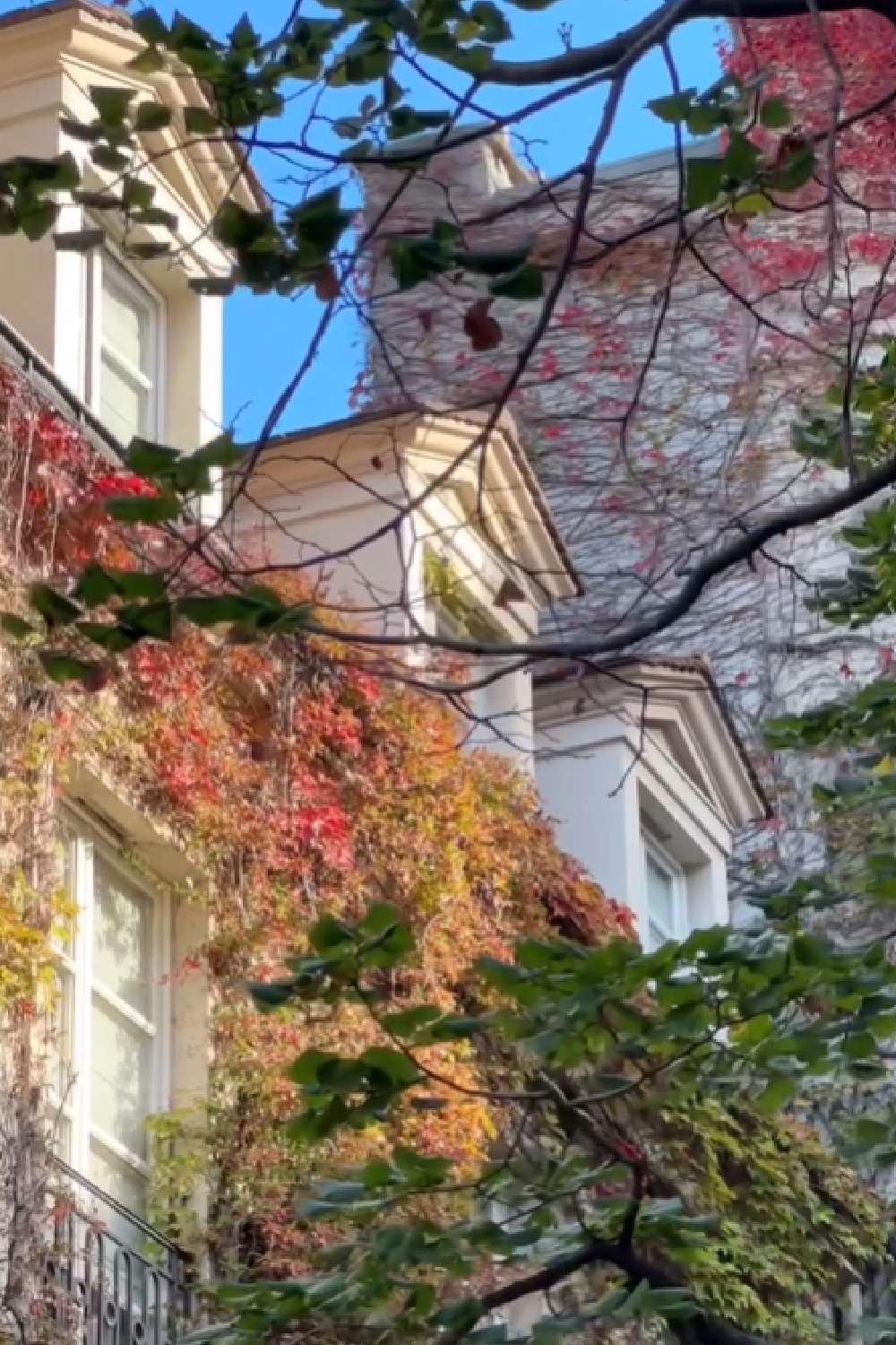 Facade in fall - Pavillon de la Reine & Spa. @spacedmagazine #parishotels #lesvosges #lemarais