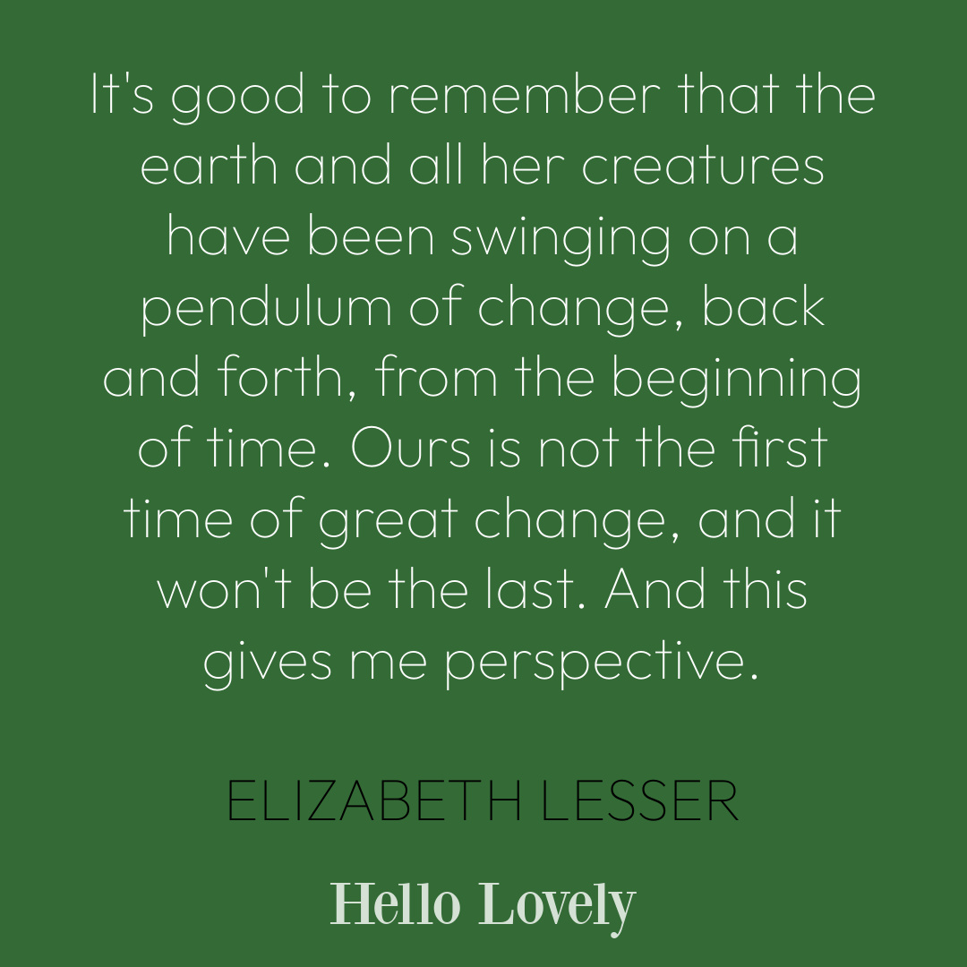 Elizabeth Lesser change quote on Hello Lovely Studio. #changequotes #transformationquotes #elizabethlesser #newyearquotes