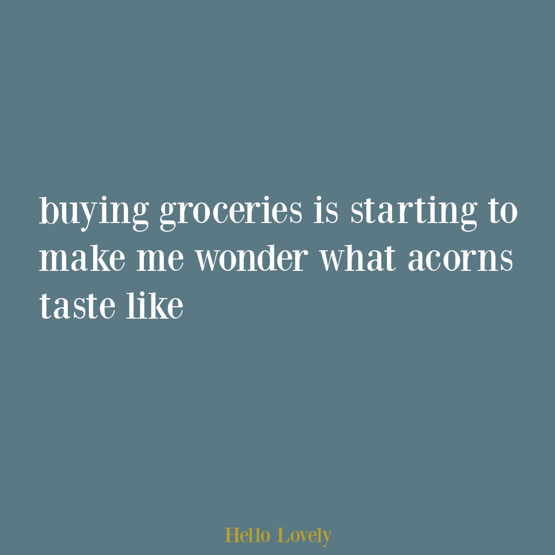 Funny quote about the economy, inflation, and expensive groceries on Hello Lovely Studio.