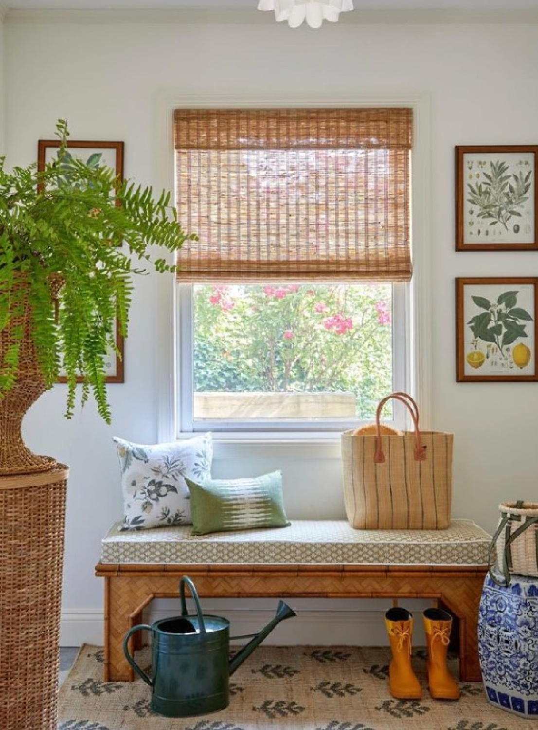 Charming framed botanicals flanking window with bamboo blind and bench - @stephperezstudio.