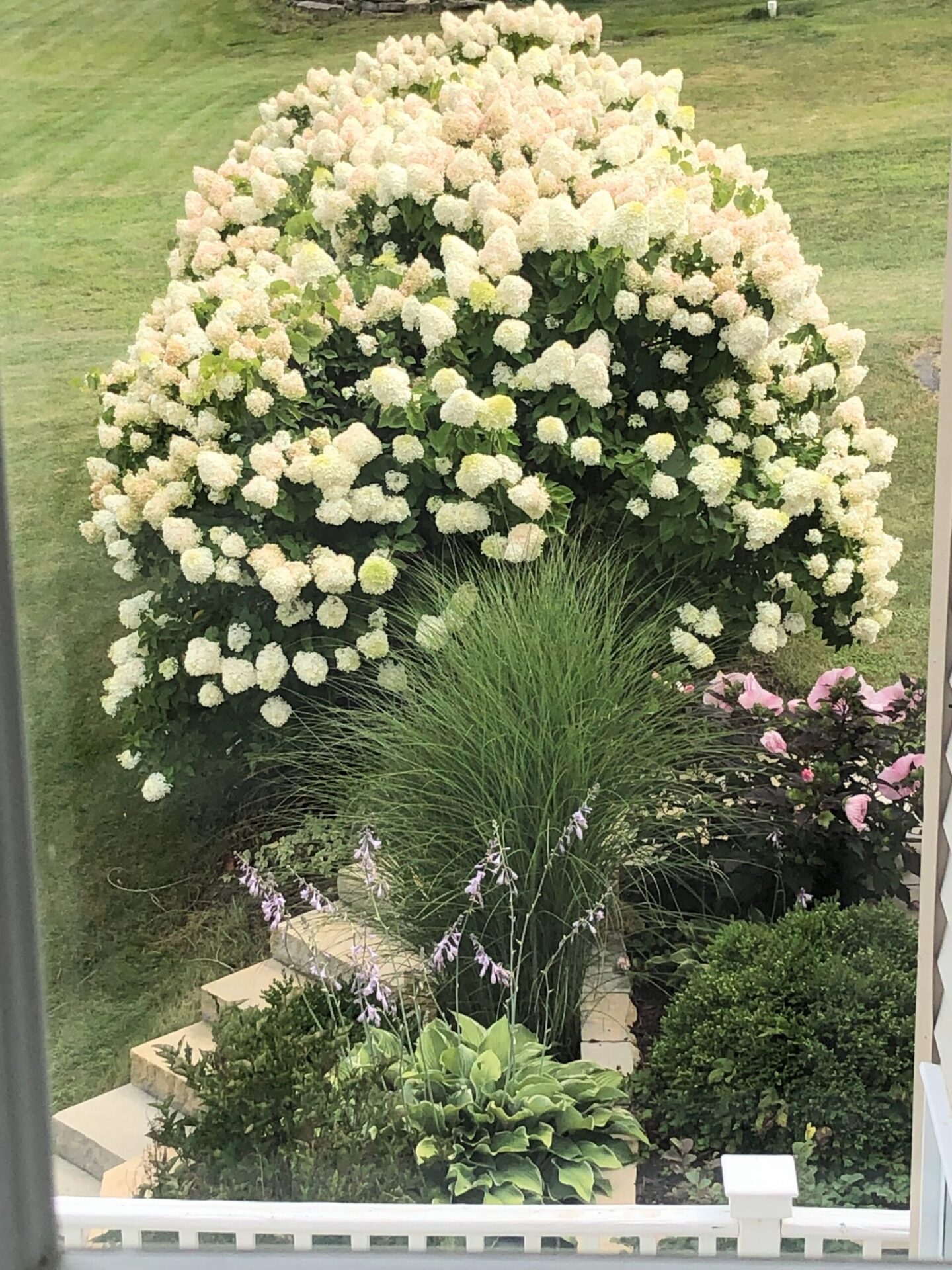 Late summer backyard and garden - Hello Lovely Studio.