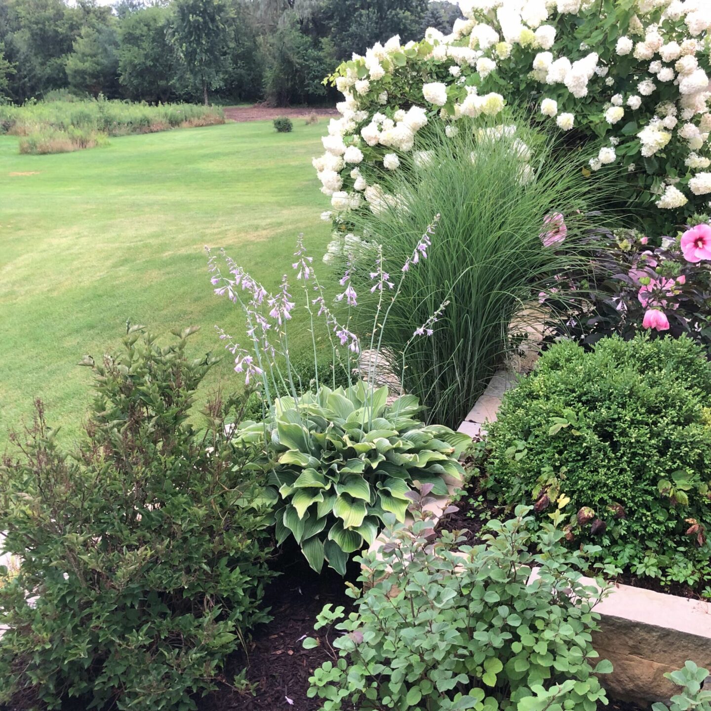 Late summer backyard and garden - Hello Lovely Studio.