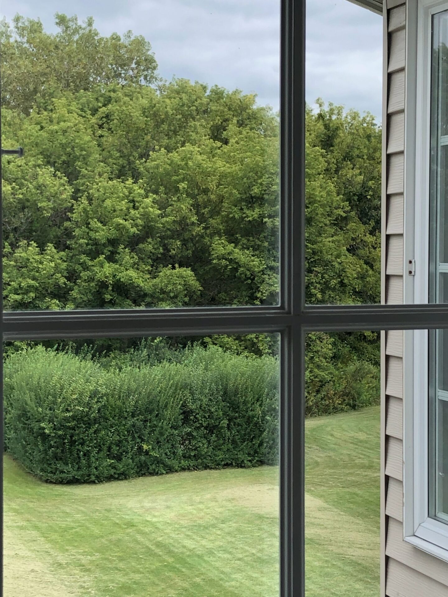 View of backyard and hedged French courtyard - Hello Lovely Studio.