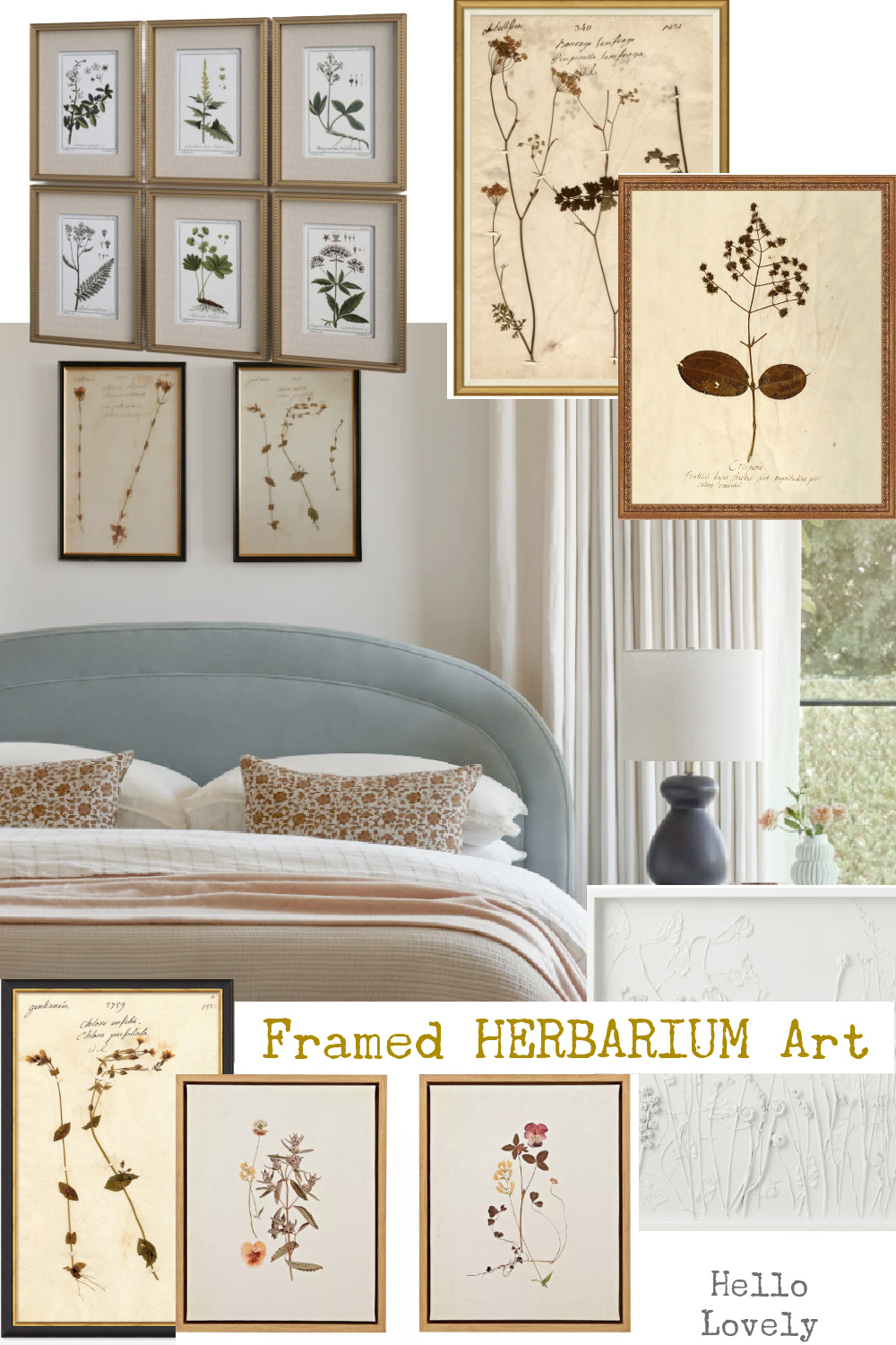 Framed Herbarium Art and Botanical Prints on Hello Lovely Studio.