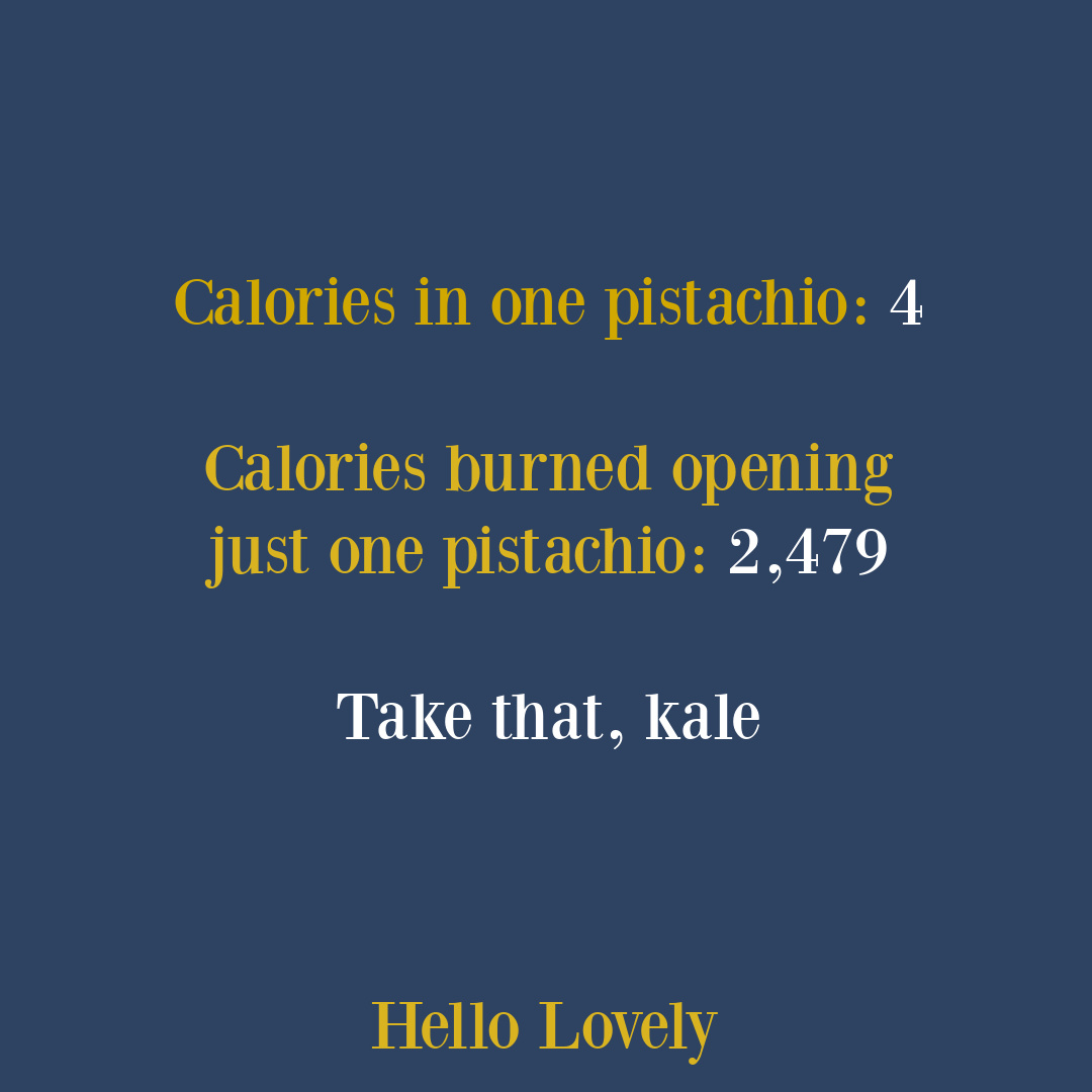 Funny pistachio humor quote on Hello Lovely Studio.