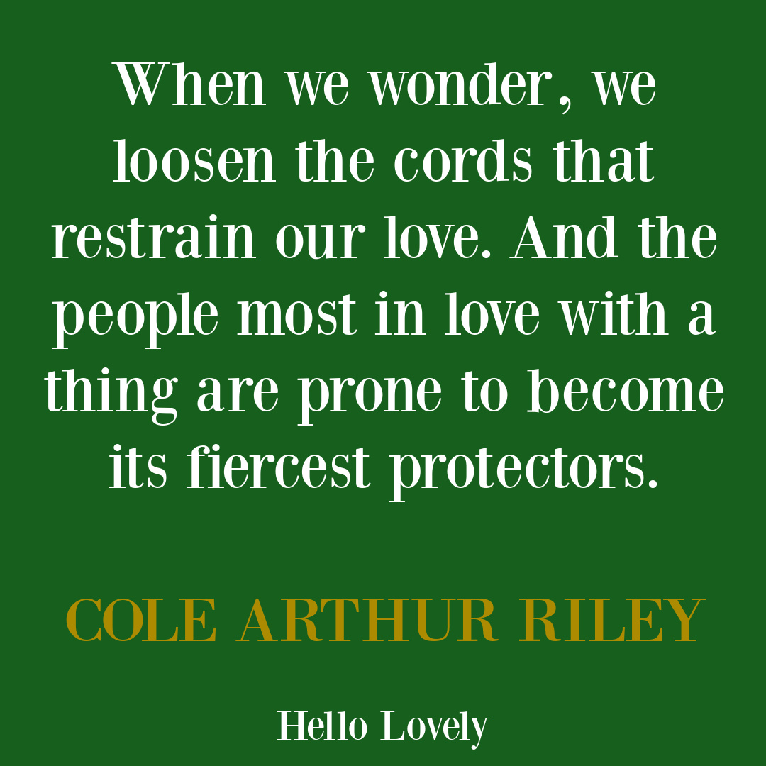 Wonder quote by Cole Arthur Riley on Hello Lovely. #wonderquotes