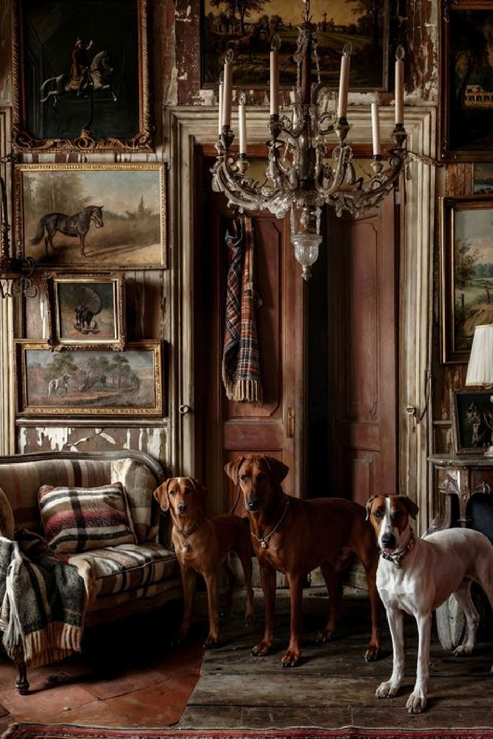 Dark academia aesthetic in AI design image of hunting lodge with moody style, chandelier, dark wood paneling and three dogs @porterartguild. #darkacademia #huntinglodge #moodyrooms