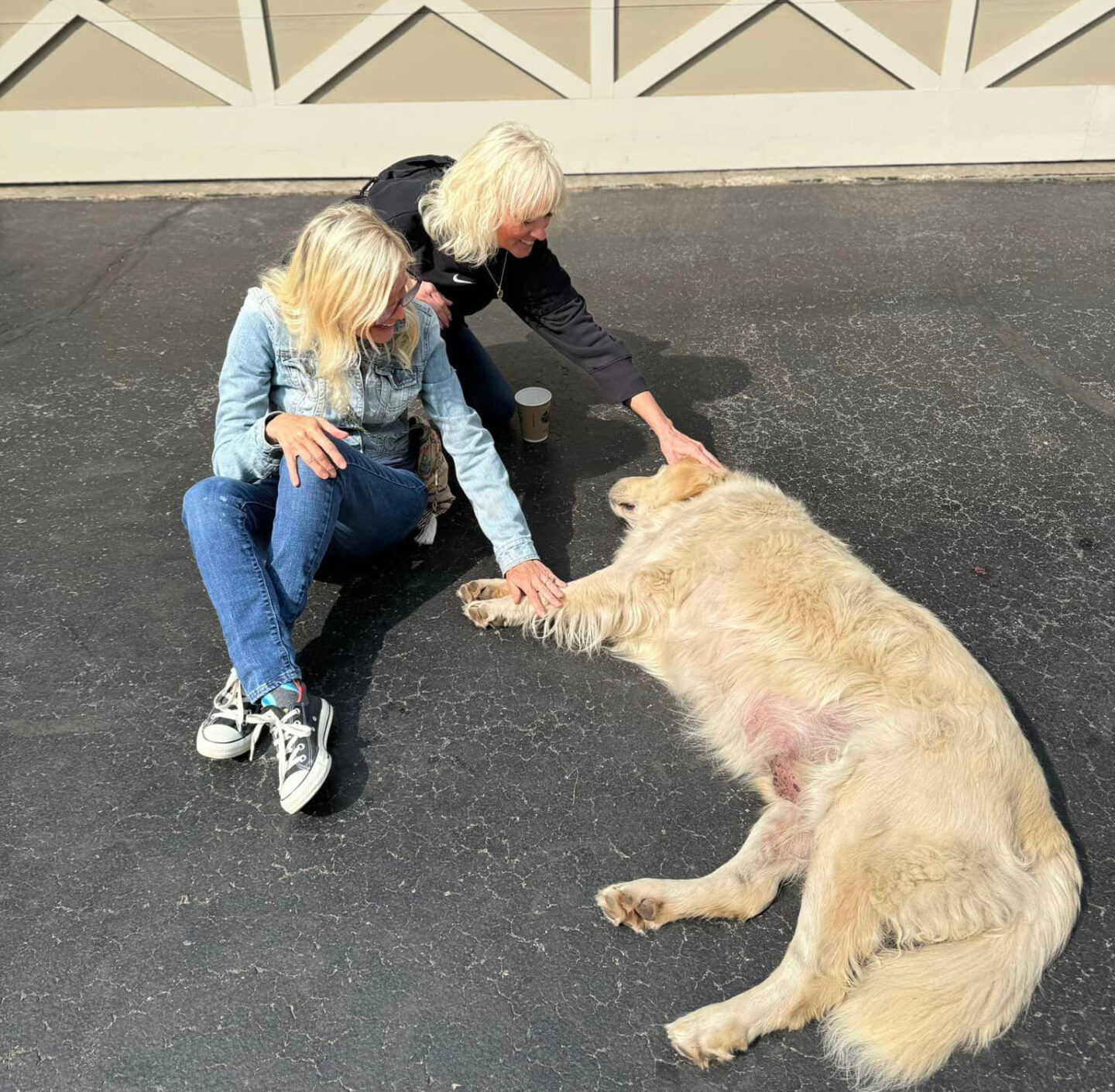 Michele and sister with golden retriever - Hello Lovely.