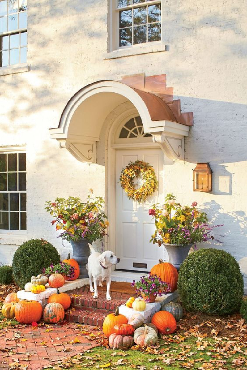 FALL front porch with pumpkins, planters, white dog, and wreath on front door - Southern Living. #fallporch #falldecorating #autumnvibes