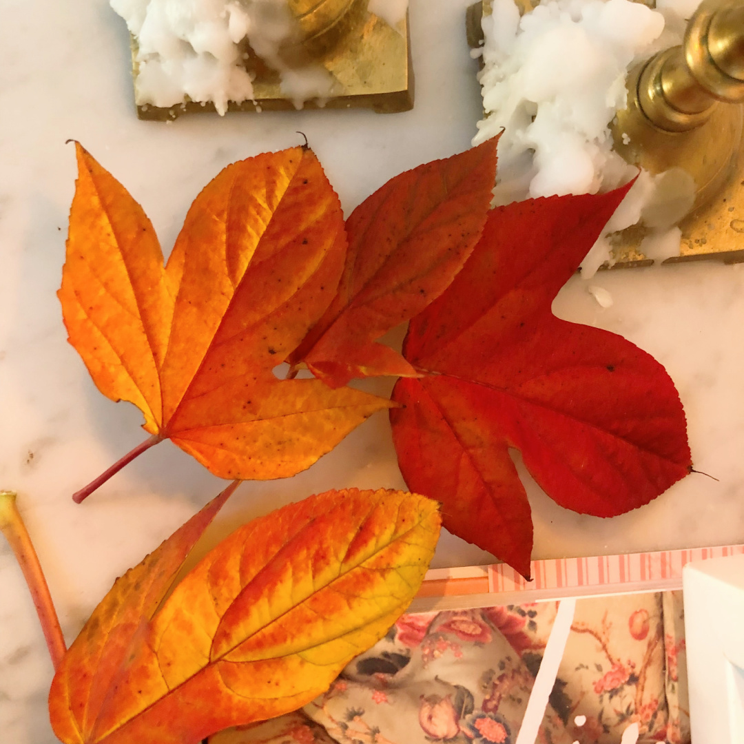 Hello Lovely's entry in Fall with colorful leaves on a French console with candles. #modernfrench #hellolovely #fallentry